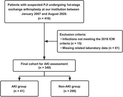 Incidence, associated factors, and outcomes of acute kidney injury following placement of antibiotic bone cement spacers in two-stage exchange for periprosthetic joint infection: a comprehensive study